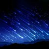  星儿 的头像