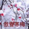 傲雪寒梅的头像