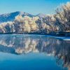 傲雪寒梅的头像