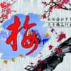梅的头像