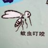 孤街酒客的头像