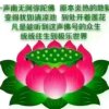 思乡一老许的头像
