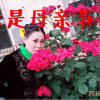 晓针好的头像