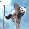 匿名的头像