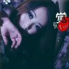 白鸽的头像