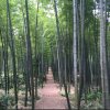 怡宝࿆的头像