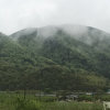 一帆风顺的头像