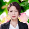 美丽的马兰花的头像