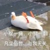 Velpro°的头像