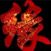无缘人的头像
