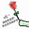 坚持爱你的头像