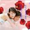 百合的头像
