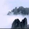 .的头像