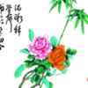 百合的头像