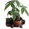 温柔如水的头像