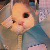 Mr.的头像