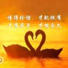 幽苒的头像