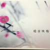 红瑞的头像