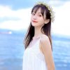 樊凡的头像