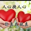 燕子的头像