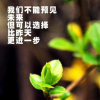 有你有我的头像