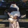 W的头像