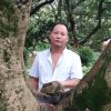 寻找的头像