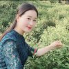 情寂的头像