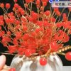 咪咪蜜的头像