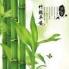 美好［暖阳阳］的头像