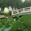 红颜自己的头像