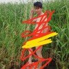 别来无恙的头像