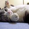 纯真的头像