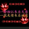 邦罗的头像