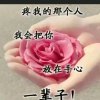 云在飞的头像