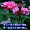 感恩的心的头像