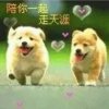 星际的头像
