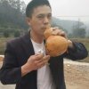 笑看人生《忙，暂停》的头像