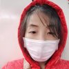 大森林的凤凰的头像