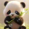 你的人生我来掌控的头像