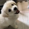 一位诗人.的头像