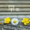 伪装坚强的头像