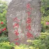 阿琴的头像