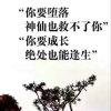 仙人掌的头像