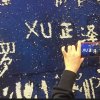浮萍的头像