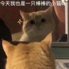 生姜的头像