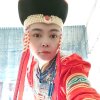 汤七的头像