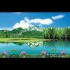 蓦然回首的头像