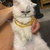 然后呢(ﾟOﾟ)的头像