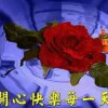 流星雨的头像